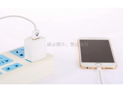 Fashion Bi-color dual output portable charger